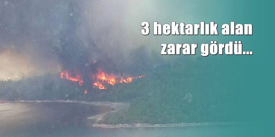 Şeytan Sofrası'nda yangın