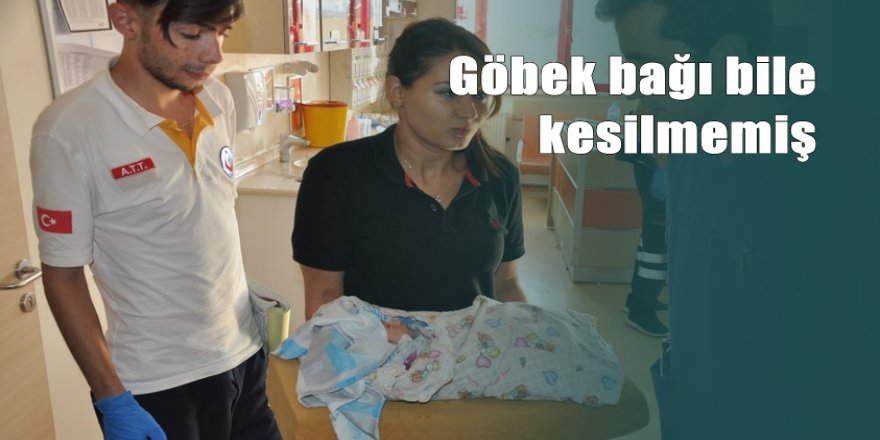 Çöp poşetinde yeni doğmuş bebek bulundu