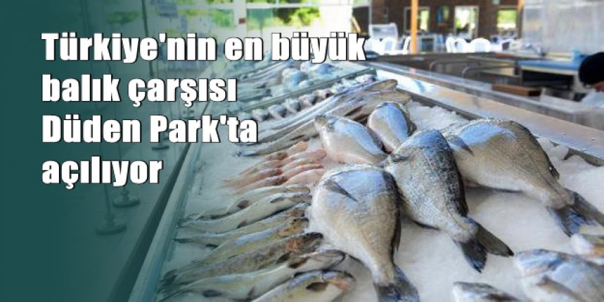 Türkiye'nin en büyük balık çarşısı açılıyor