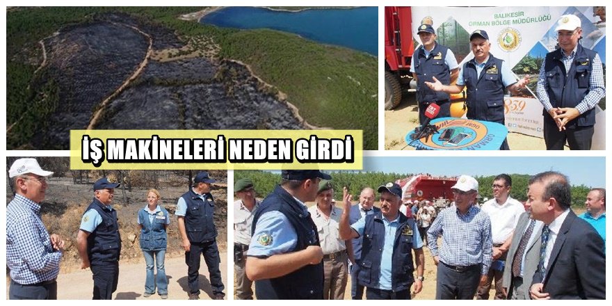 Ayvalık Cennetkoyu yangını hakkında açıklama