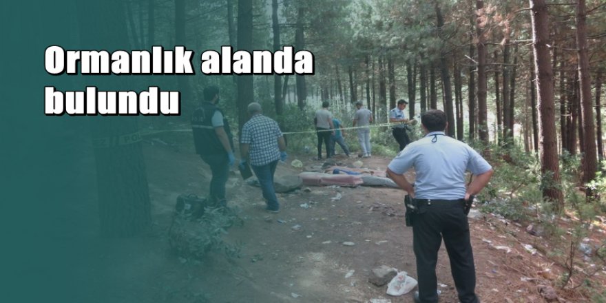 Ormanlık alanda erkek cesedi bulundu