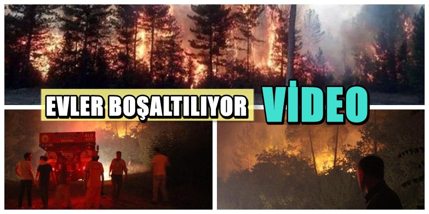 Bolu'da söndü denilen yangın yeniden başladı; Evler boşaltılıyor