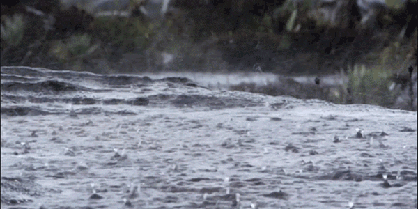 Meteoroloji uyardı ; Yağış geliyor