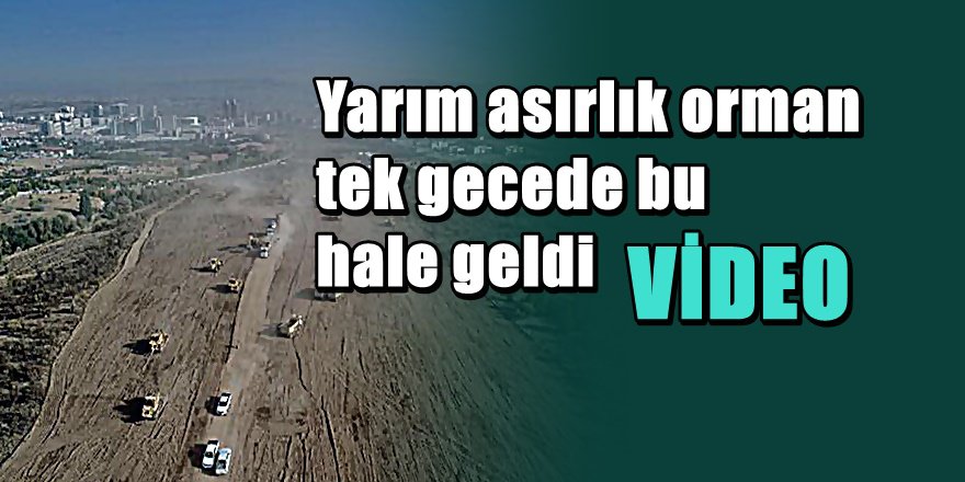 Melih Gökçek girdikten sonra ODTÜ ormanından görüntüler