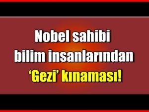 Gezi'deki Şiddete Nobel Ödüllü Kınama