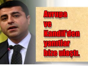 Mektupların Cevapları Geldi !