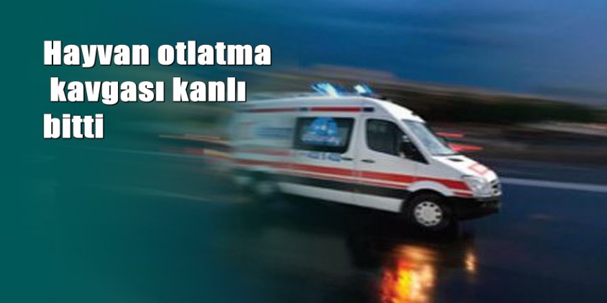 Şanlıurfa’da "hayvan otlatma" kavgası: 1 ölü, 1 yaralı