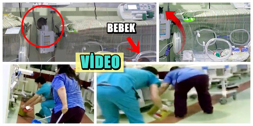 Sağlık bakanından bebek servisinde fare görüntülerine açıklama