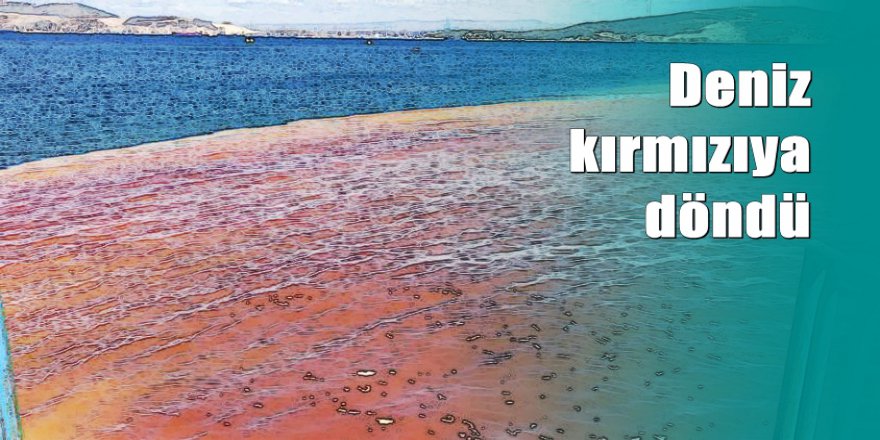 İzmir'de korkutan görüntü