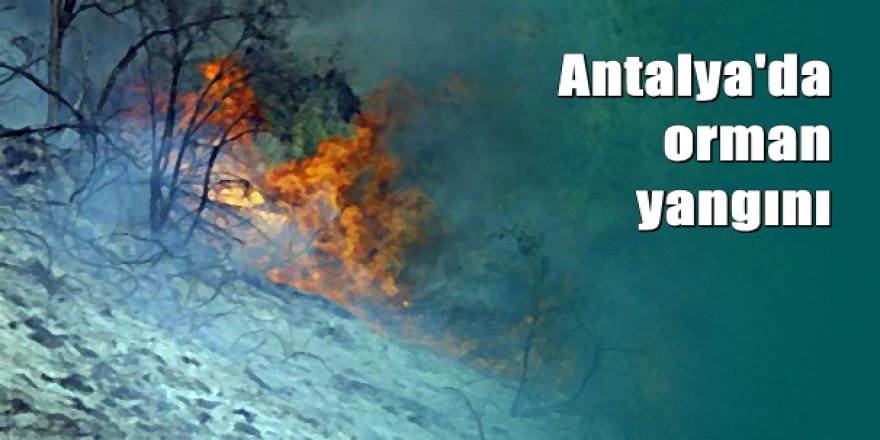 Antalya'da orman yangınında 2 hektarlık ormanlık alan zarar gördü
