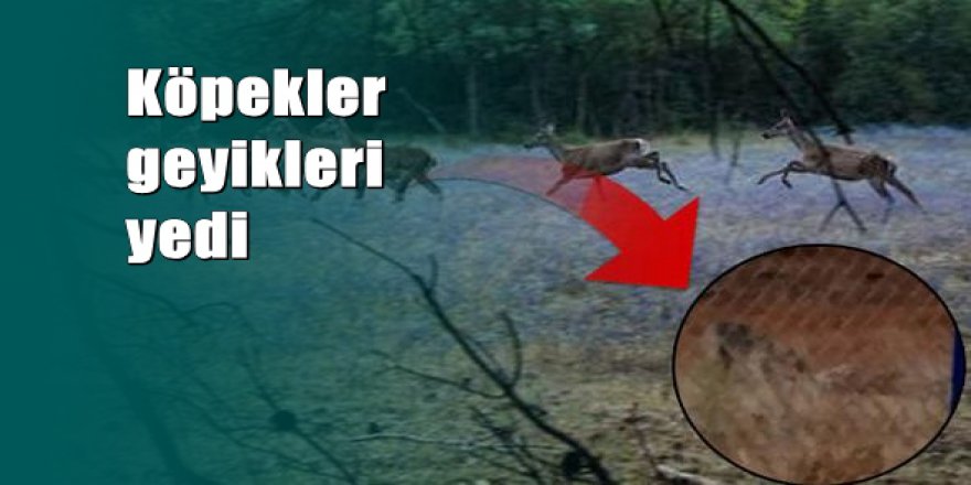 Bursa'da üniversitede şoke eden olay