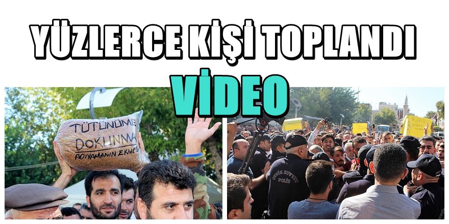 Adıyaman'da tütün isyanı; Valiliğe yürüdüler