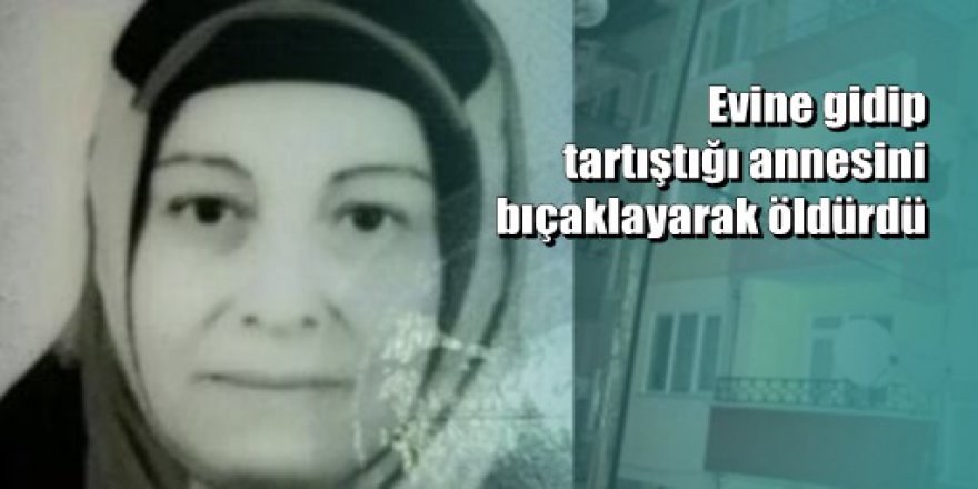 Koca şiddetinden kaçan kadını çocukları öldürdü