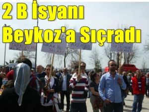 Tapuyu Ver 5 Çocuk Yapalım !