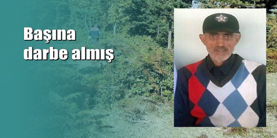 Köy bekçisi ormanlık alanda ölü bulundu