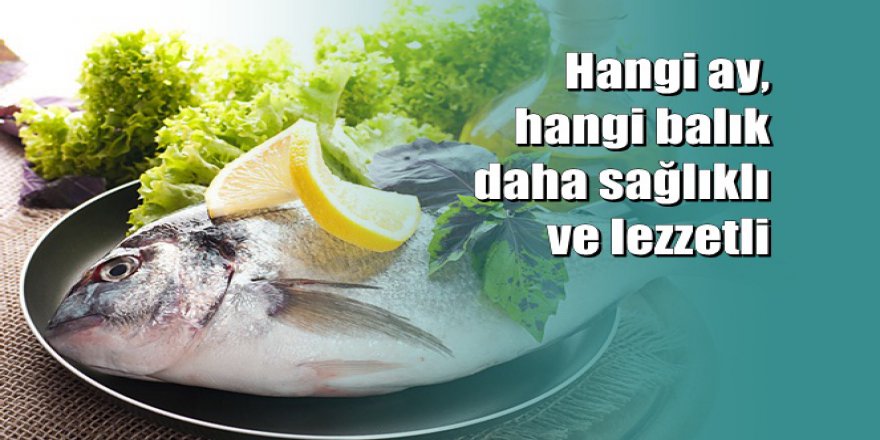 Hangi ayda, hangi balığı tüketmeli?