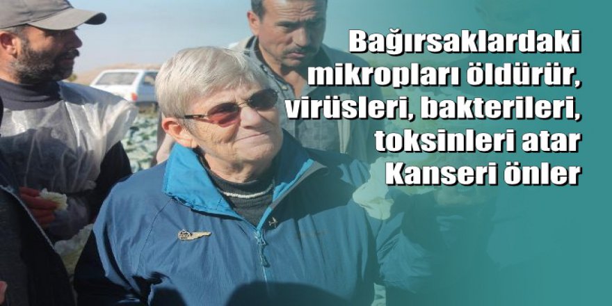 Canan Karatay önerdi: Bol bol yiyin