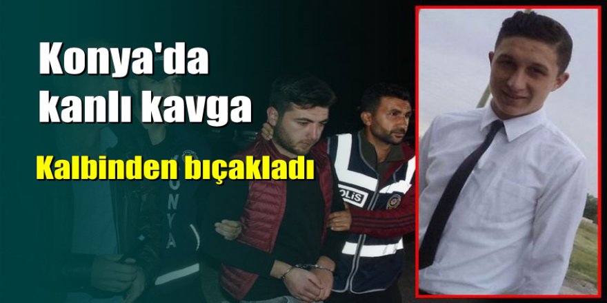 Annesine küfredeni kalbinden bıçaklayarak öldürdü