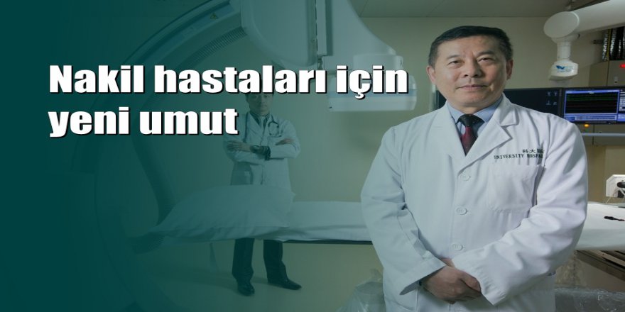Çinli bilim insanları domuzdan insana organ nakline hazır