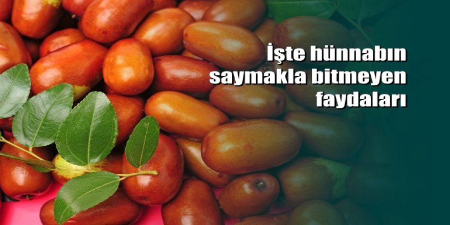 İşte hünnabın saymakla bitmeyen faydaları