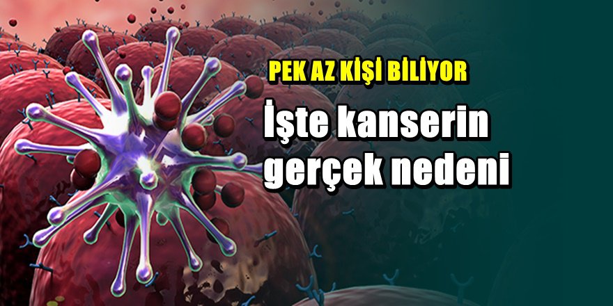 İşte kanserin gerçek nedeni