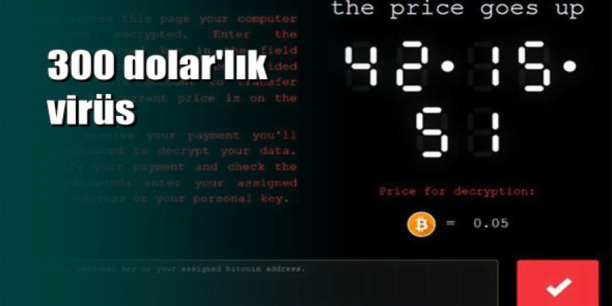 Dikkat: Bu virüs Türkiye’de de yayılmaya başladı