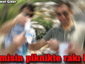 Sen misin piknikte rakı içen!