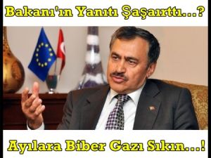 Ayı görürseniz ıslık çalıp biber gazı sıkın!