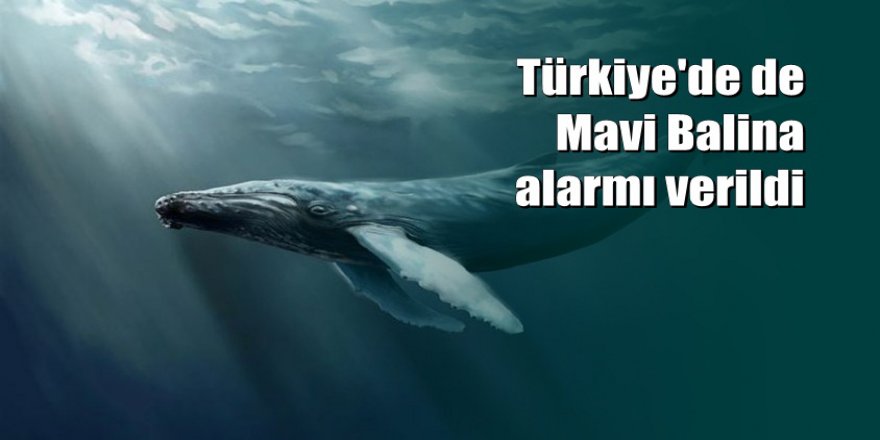 Whatsapp’tan gelen Mavi Balina linkine dikkat