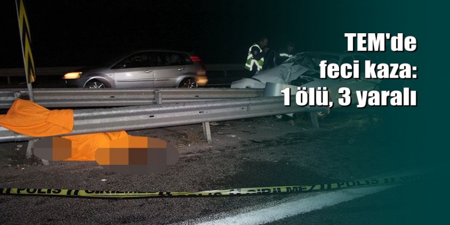 Yol ayrımında akrabalarını bekleyen kadına otomobil çarptı: 1 ölü, 3 yaralı