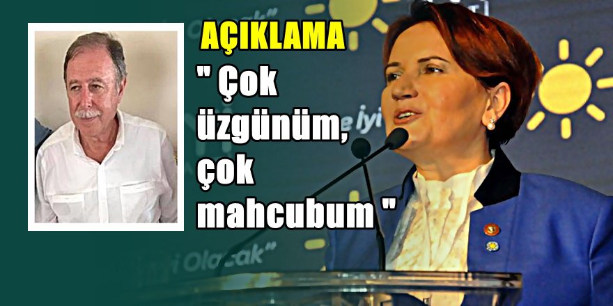 Meral Akşener'den Ceveheri istifası açıklaması