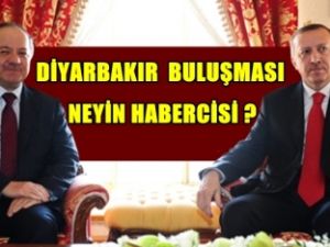 Neden Buluşuyorlar ?