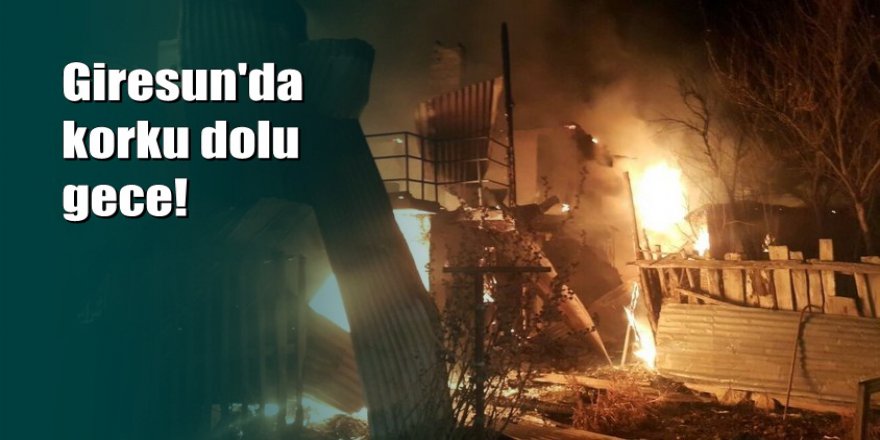 Giresun'da 4 ev, 1 odunluk kül oldu