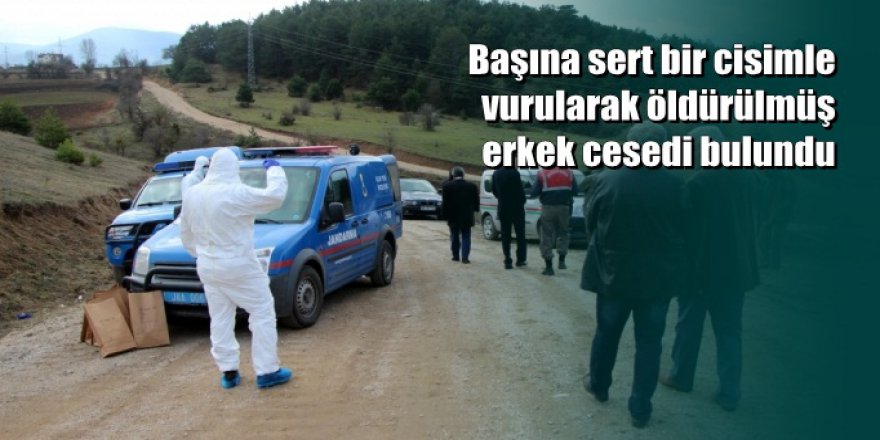 Bolu'da yol kenarında erkek cesedi bulundu
