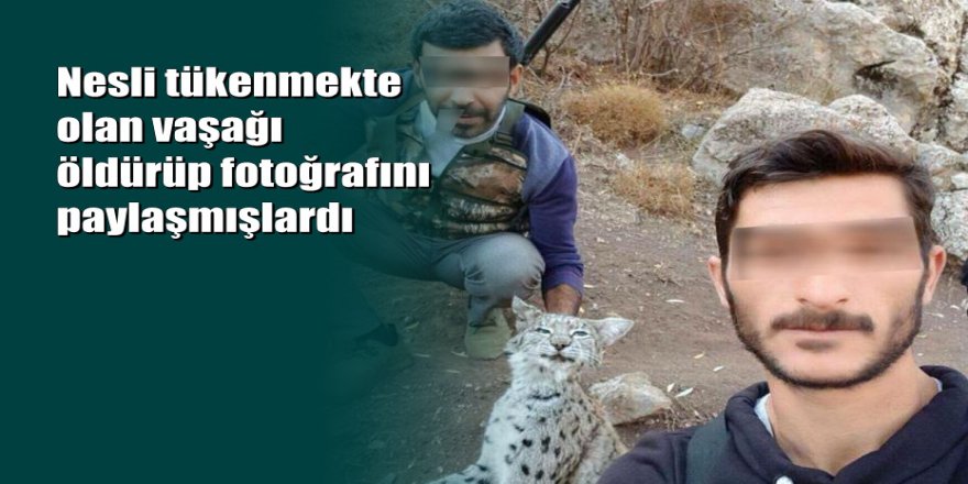 Vaşak katillerinin cezası belli oldu