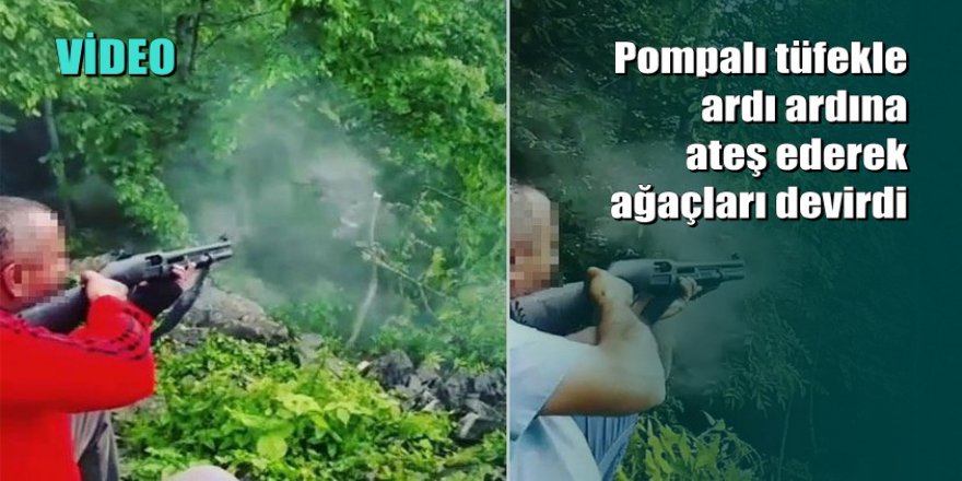 Park Bahçe Dairesi emeklisi, ağaçları kurşuna dizdi