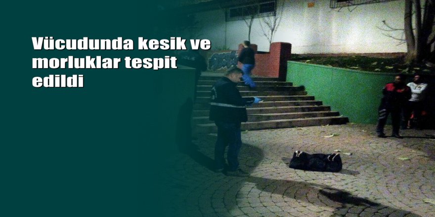 Gaziantep'te parkta bebek cesedi bulundu