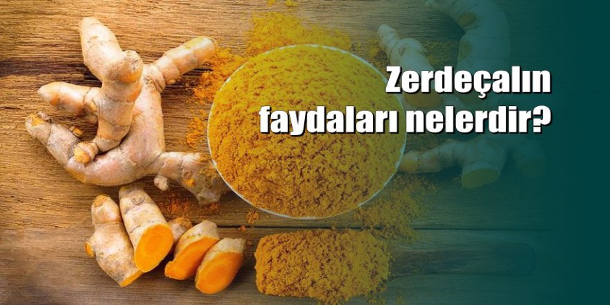 Zerdeçal kansere panzehir oldu