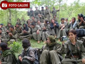 Türkçe'yi Kandil'de Öğrendim