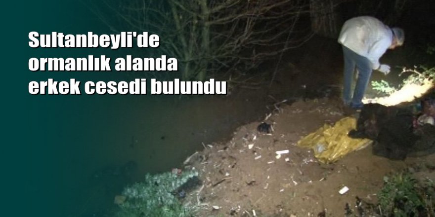 Kaybettiği telefonunu ormanda arıyordu, erkek cesedi buldu