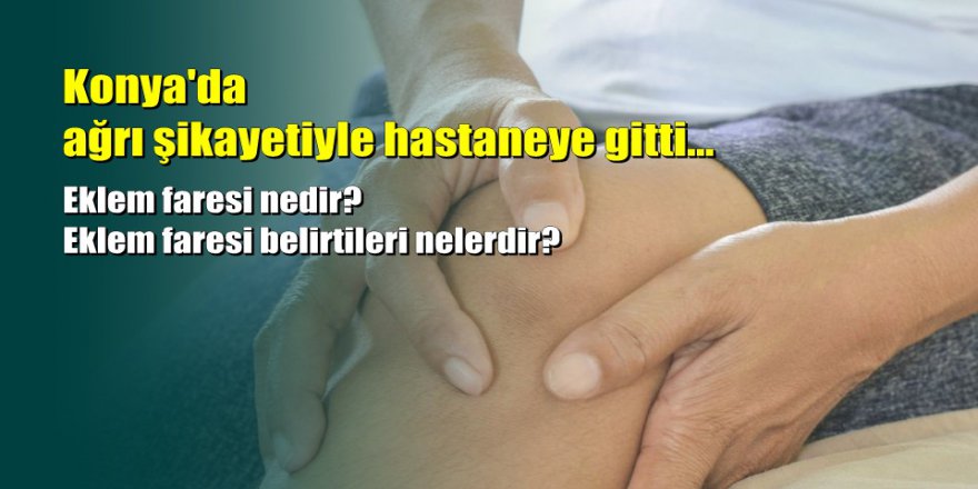Dizlerinden 967 tane eklem faresi çıktı