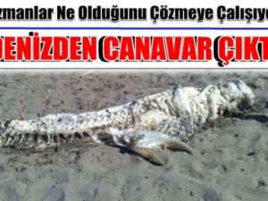 Bu Canavarın ne Olduğu Çözülemedi