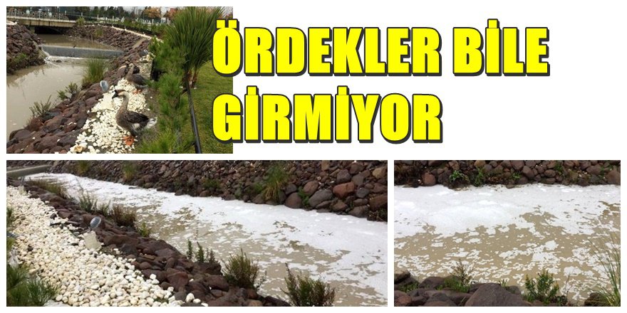 Manisa'nın göbeğinde ' Kimyasal Atık ' skandalı