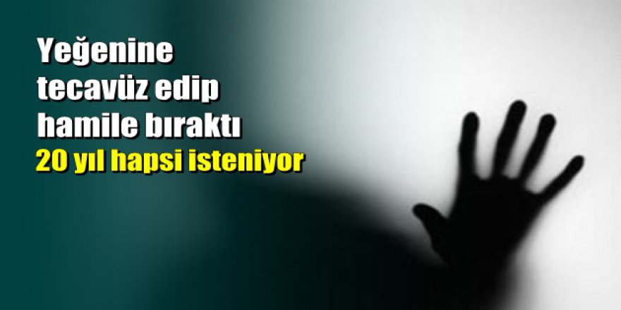 Yeğenine tecavüzle suçlanan imam sanıktan mide bulandıran savunma