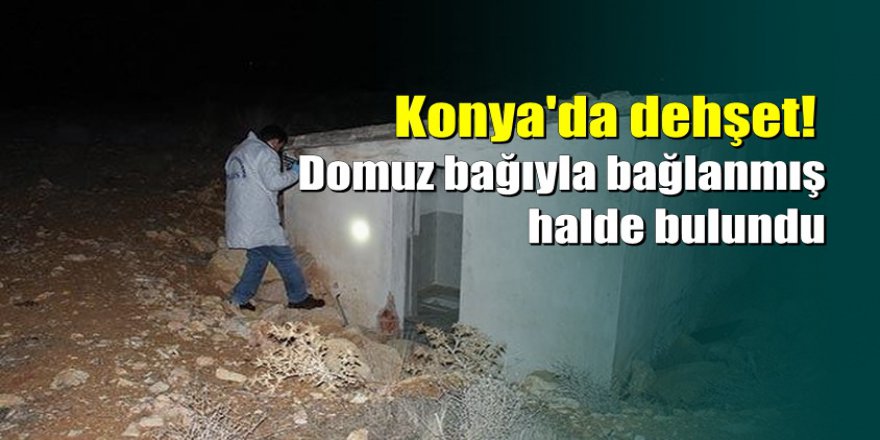Domuz bağıyla bağlayıp boş binada bıraktılar