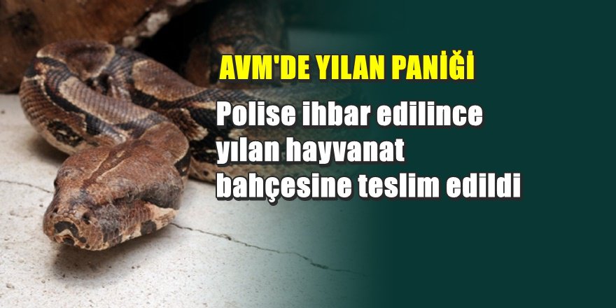 Antalya'da AVM'de dev yılan paniği