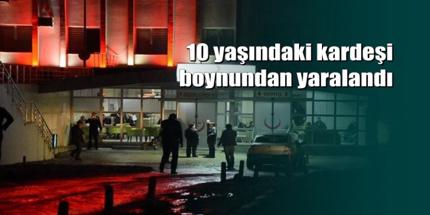 İki kardeşin tüfekle şakası kanlı bitti