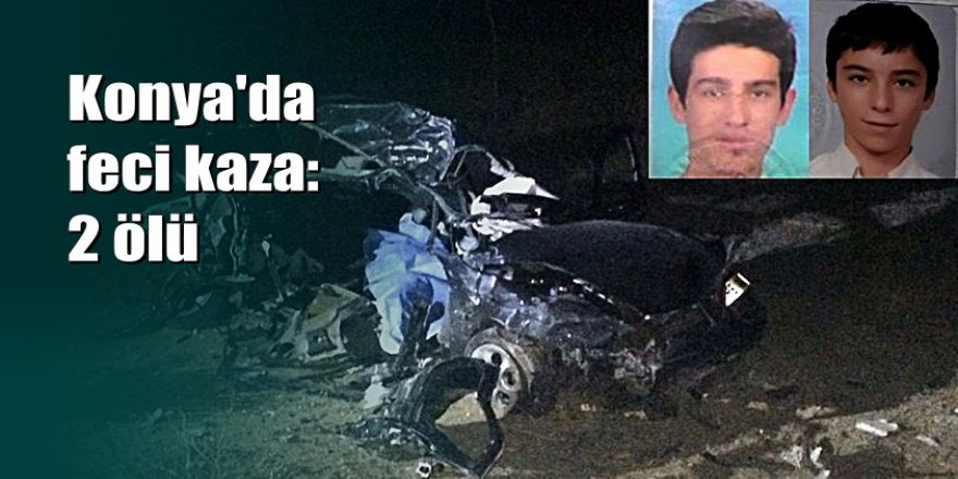 Yola çıkan köpeğe çarpmamak için direksiyonu kırdı: 2 ölü