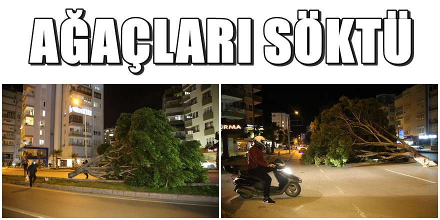 Antalya'da fırtına yıktı geçti