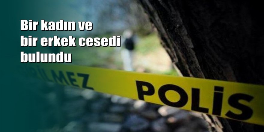 Kocaeli'de ormanlık alanda 2 ceset bulundu